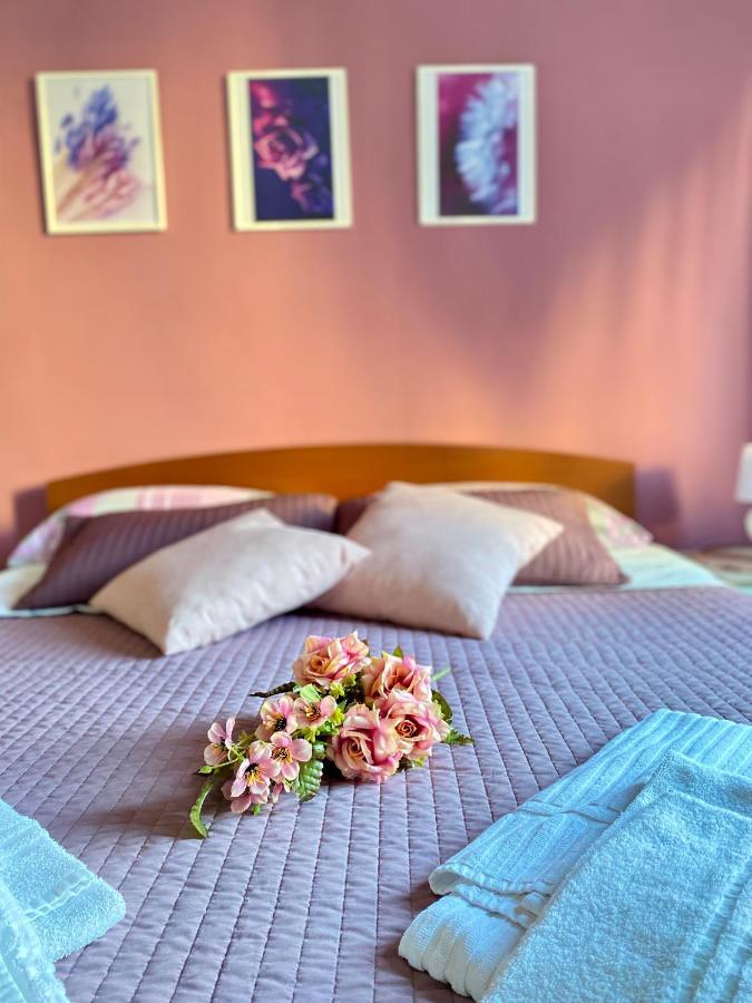 Apartamento Dreams In - Colosseum *